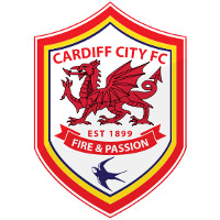 Cardiff city management